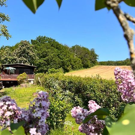 Ferienhaus Zittertal Neustadt Harz Haus I Villa Harztor Buitenkant foto
