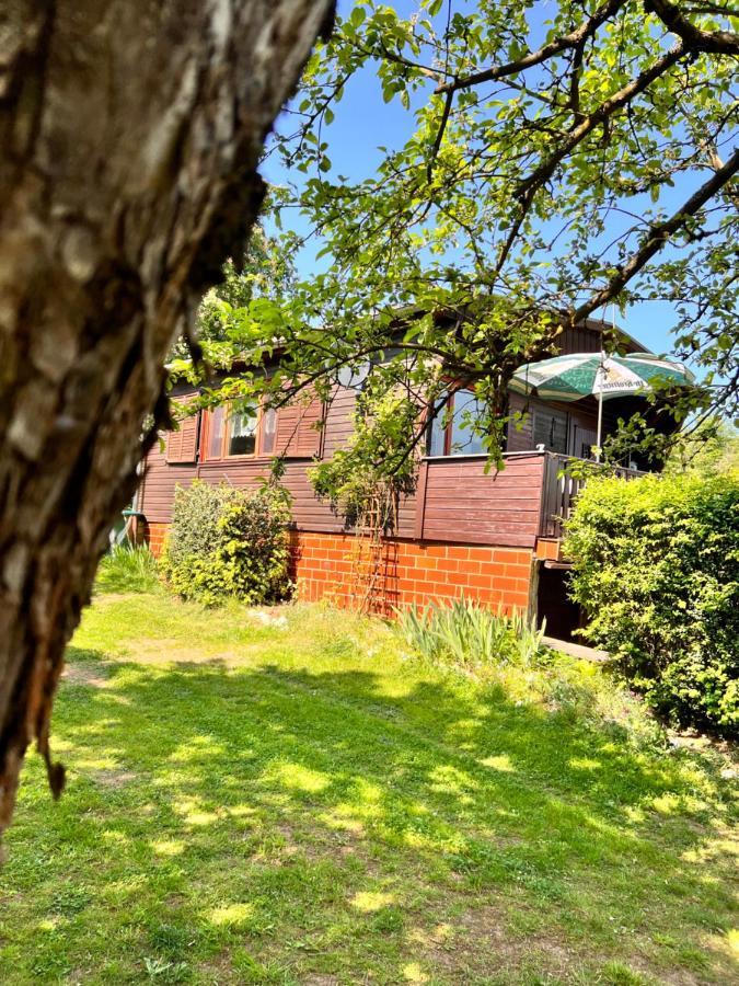 Ferienhaus Zittertal Neustadt Harz Haus I Villa Harztor Buitenkant foto