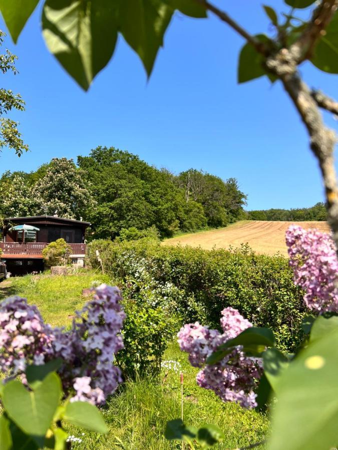 Ferienhaus Zittertal Neustadt Harz Haus I Villa Harztor Buitenkant foto